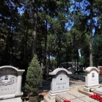 八宝山有何特殊为何很多人把葬入八宝山作为目标81号墓主是谁