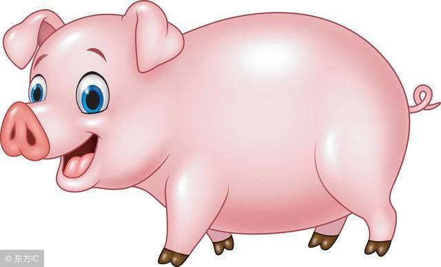 属猪的属相婚配表大全属猪人的幸运数字和幸运颜色