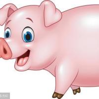 属猪的属相婚配表大全属猪人的幸运数字和幸运颜色