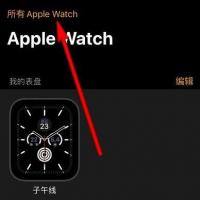 苹果手表配对新手机怎么操作