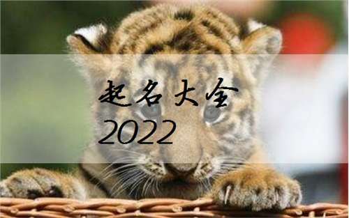 名字大全参考2022给属虎的宝宝起名除了要满足生肖起名的一些要求之外
