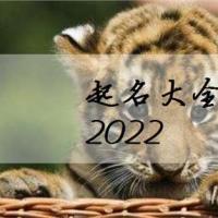 名字大全参考2022给属虎的宝宝起名除了要满足生肖起名的一些要求之外