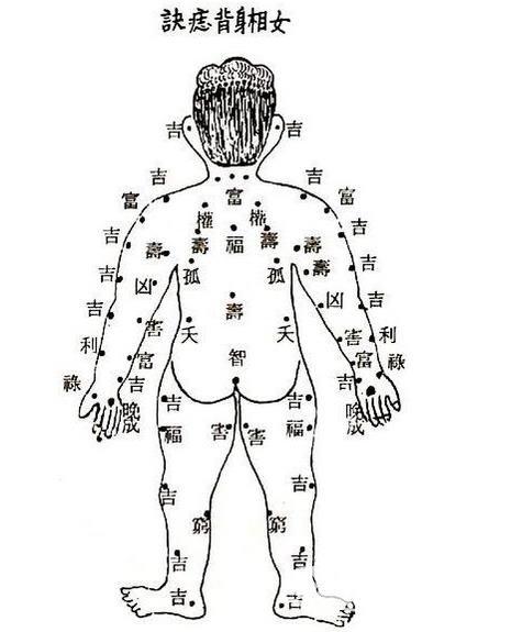 背部痣相图