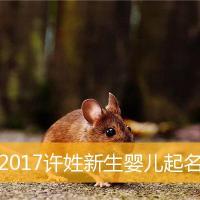 2017许姓新生婴儿起名,鸡年许姓新生宝宝取名