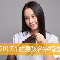 2017许姓男孩名字精选