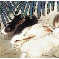 生肖兔的性格1975年属兔男的性格和脾气及爱情观