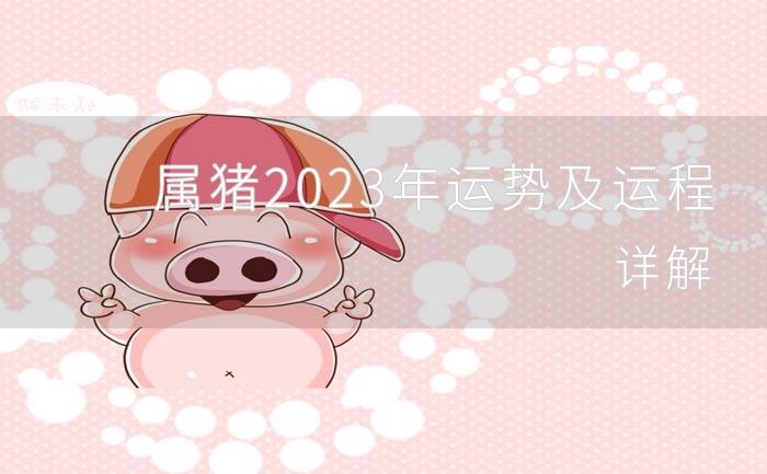 属猪2023年运势及运程详解