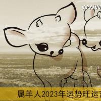 属羊2023年运势及运程详解 2023年属羊人的全年每月运势_祥安阁风水网