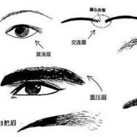 眉毛面相学|眉形|柳叶眉|东方人_网易订阅