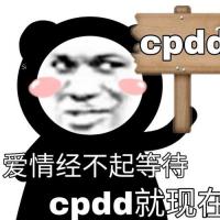 cpdd爱情经不起等待cpdd就现在爱情经不起cpdd表情