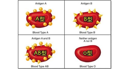 什麼血型要注意什麼健康隐患,很重要!千万要注意!