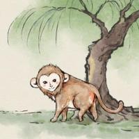 属猴1980年出生什么命金猴之命