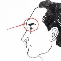 眉骨凸起的面相面相上讲:眉棱骨高,常受波涛,眉骨过分高凸的人一般