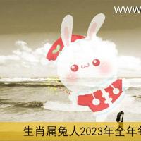 属兔2023年运势及运程详解 2023年属兔人的全年每月运势_祥安阁风水网