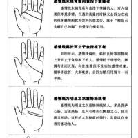 教你看手纹感情线5