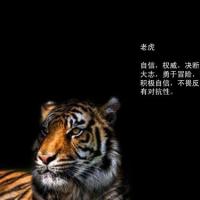 老虎 自信,权威,决断力高,胸怀 大志,勇于冒险,企图心强烈, 积极自信