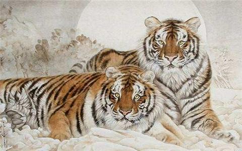 虎是山中之王,本身就是天带贵命,很多属虎人一般都有远见卓识,城府极