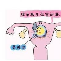 [试管婴儿]【好孕时光】蒙古国试管—试管婴儿取卵越多,成功率越高吗?