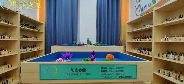 江西省横峰中学心理咨询室成功建设落地