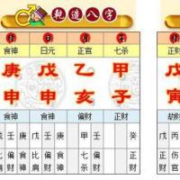 丙午日出生富贵八字,壬辰年甲辰月丙午日戊午