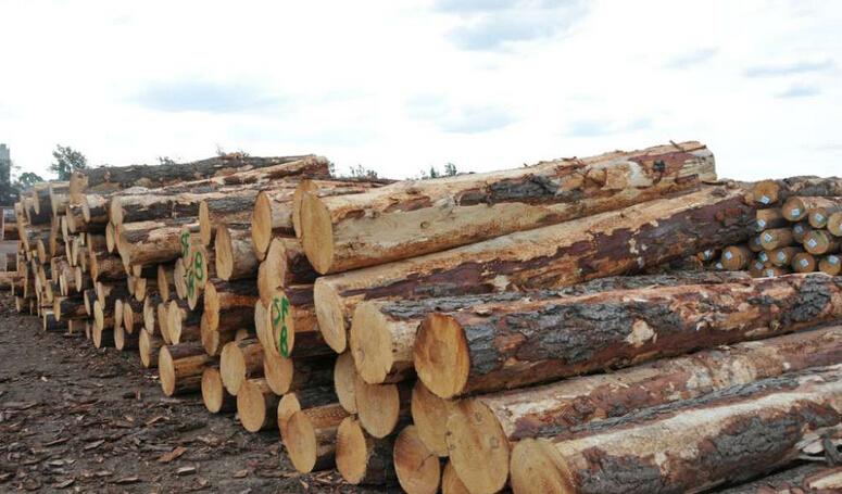 怎样做木材生意为什么木材生意越来越难做