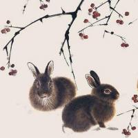 1951年属兔的人命运 1951年属兔的是什么命