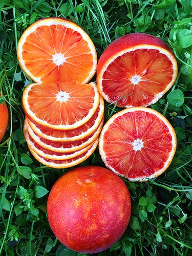 血橙新鲜水果橙子四川资中塔罗科橙红心脐橙橙