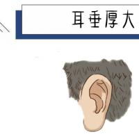 耳垂厚大耳朵是采听官,在面相学中也能看出一个人的福禄大小和运势
