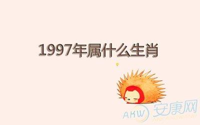 1997年属什么生肖