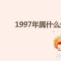 1997年属什么生肖