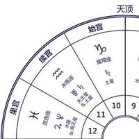 oken(中文名:柳文兰) 翻译/玖灵 图一 不管使用何种宫制的星盘来占星