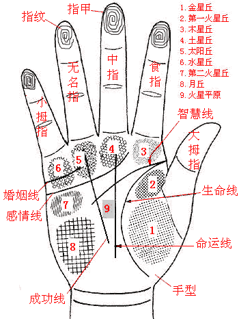 手相图解大全