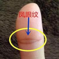 凤眼纹属于手相的一种,一般出现在拇指