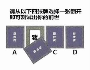 请从以下四张选择一张翻开即可测试出你的前世猪塔罗牌