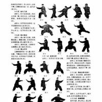 太极阴阳五行拳:子拳 以一敌百的传统武术