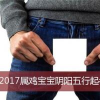 2017属鸡宝宝阴阳五行起名大全_鸡宝宝起名大全_安康起名网免费取名
