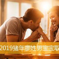 2019猪年廖姓男宝宝取名