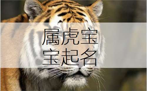 新版的姓梁属虎男宝宝名字案例集锦:2022是十二生肖排在第三位的虎年