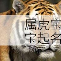 新版的姓梁属虎男宝宝名字案例集锦:2022是十二生肖排在第三位的虎年