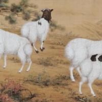 1967年属羊的人2017年运程