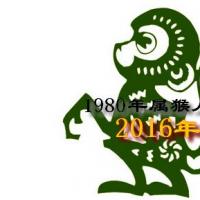 华人开运网 十二生肖 属猴 浏览文章1980年属猴的人2016年运程 一
