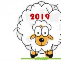 2019年属羊人爱情运势会怎样 2019属羊人的爱情运势