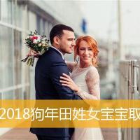 2018狗年田姓女宝宝取名