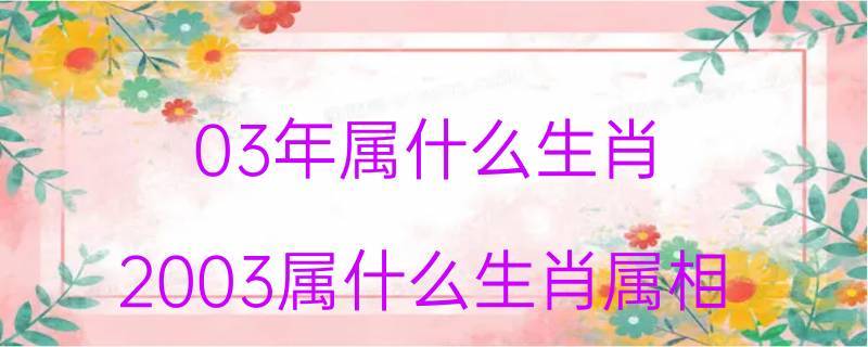 03年属什么生肖2003属什么生肖属相