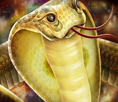 胎梦梦见蛇是什么意思?