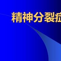 精神病学精神分裂症ppt课件