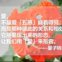 爱的定义