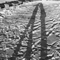 雪地里的影子爱情