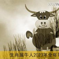 生肖属牛人2023年全年每月运势