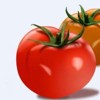 梦见西红柿是什么意思梦见番茄代表什么梦见吃西红柿是好事吗